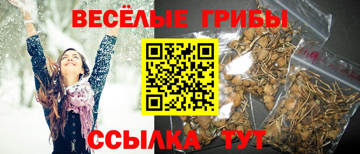 Галлюциногенные грибы прущие грибы Чистополь