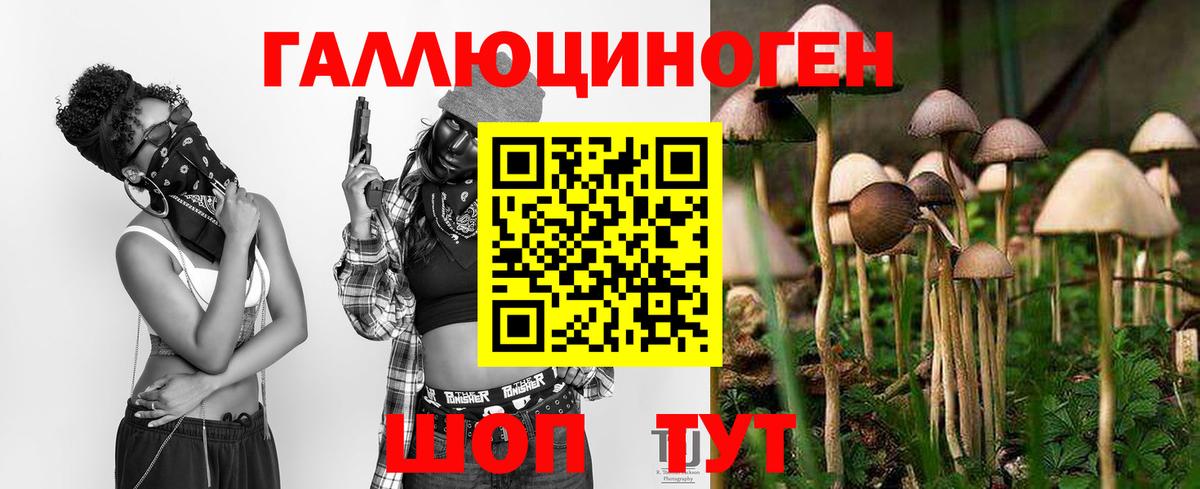 наркошоп  Вход с VPN  Чистополь  Галлюциногенные грибы ЛСД  Псилоцибиновые грибы Cubensis 