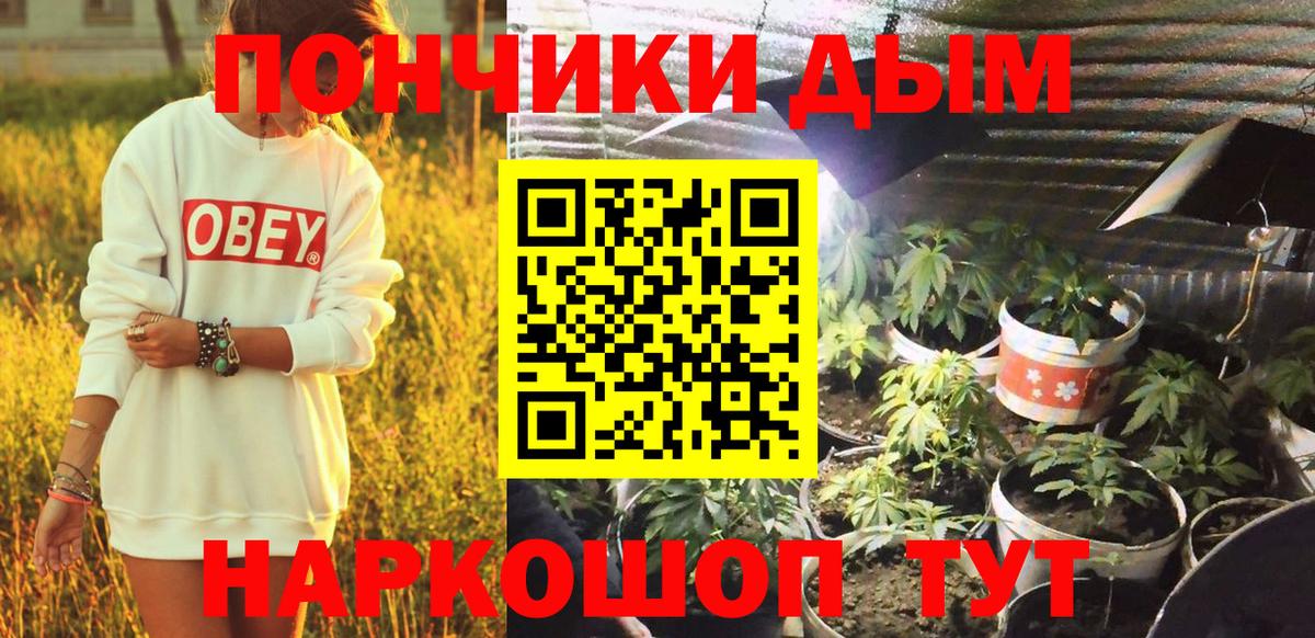 Бошки Шишки Amnesia  Конопля сатива  Шишки марихуана конопля  Конопля MAZAR  Вход с VPN  Чистополь 